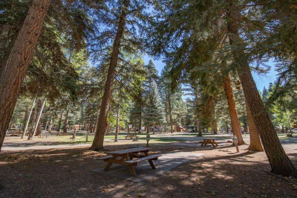 The Lupine Cabin #10 At Blue Spruce Rv Park & Cabins Vallecito Exterior photo